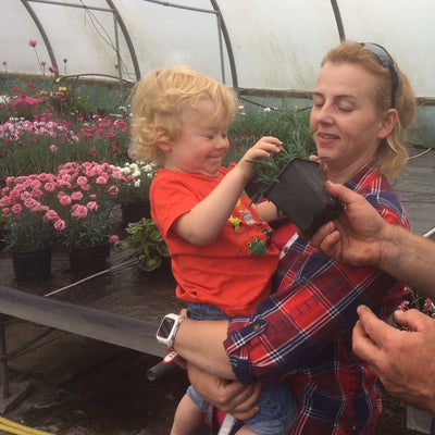 Our family owned plant nursery
