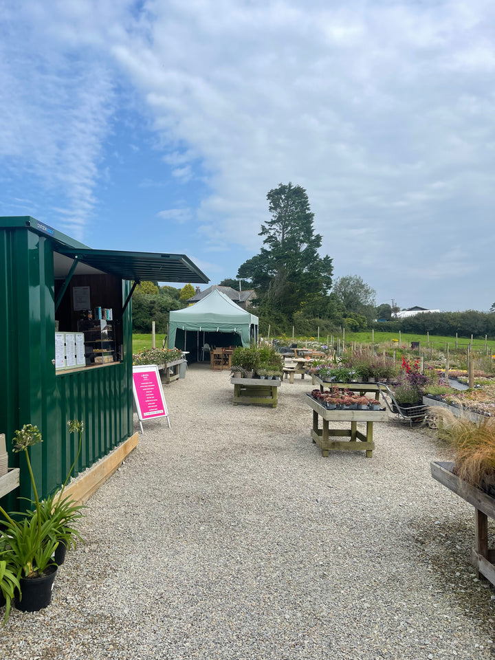 Book a table at the Coffee Cabin
